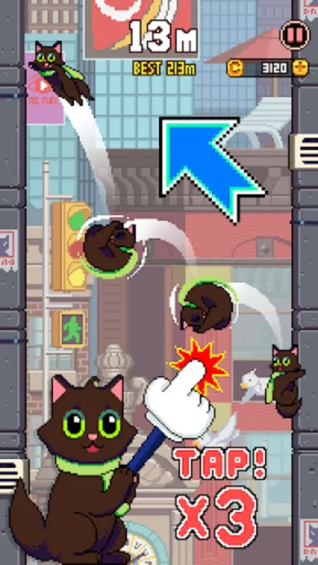 猫咪跳跃