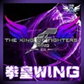 乱舞拳皇wing华丽100人手机版