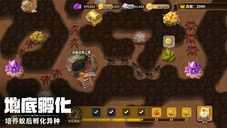 蚁族崛起B服宣传图