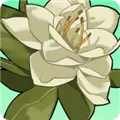小城茉莉游戏下载