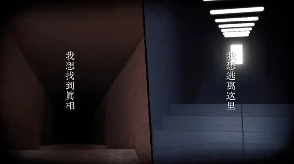 青箱宣传图