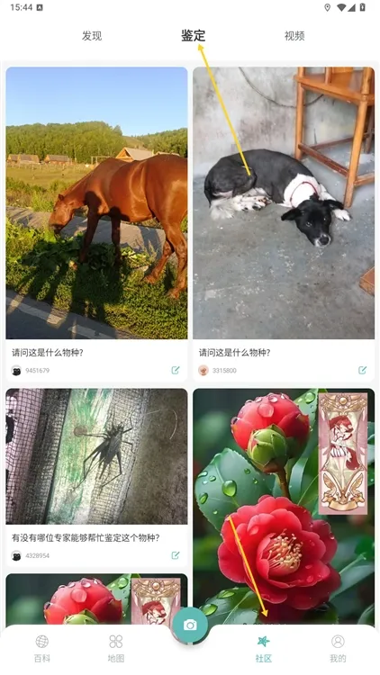 怎么用配图3