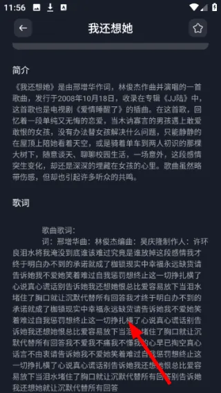 歌词怎么查看配图4