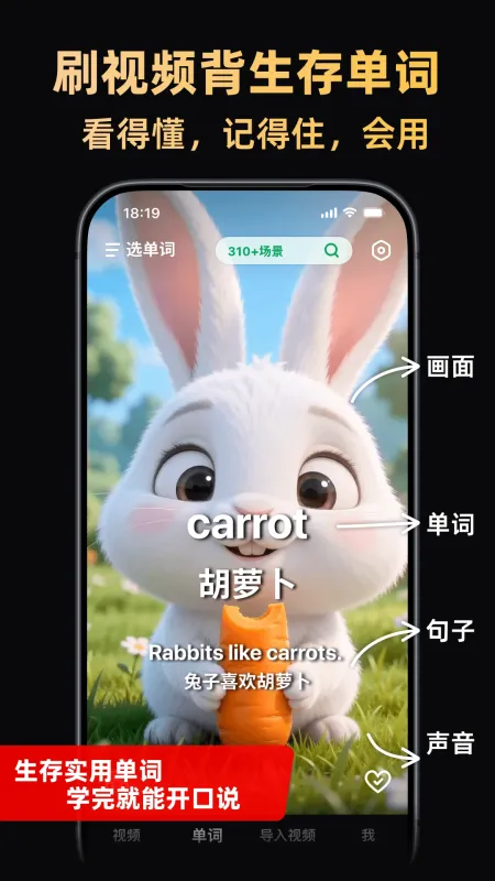 阿美英语app正版下载