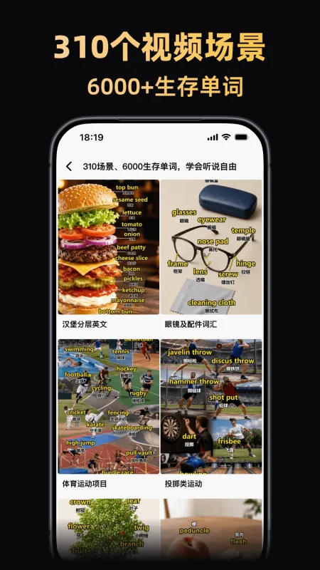 阿美英语app正版下载