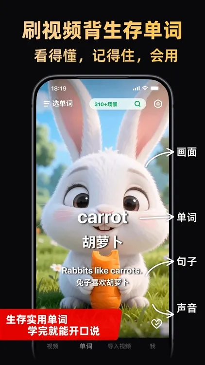 阿美英语app宣传图