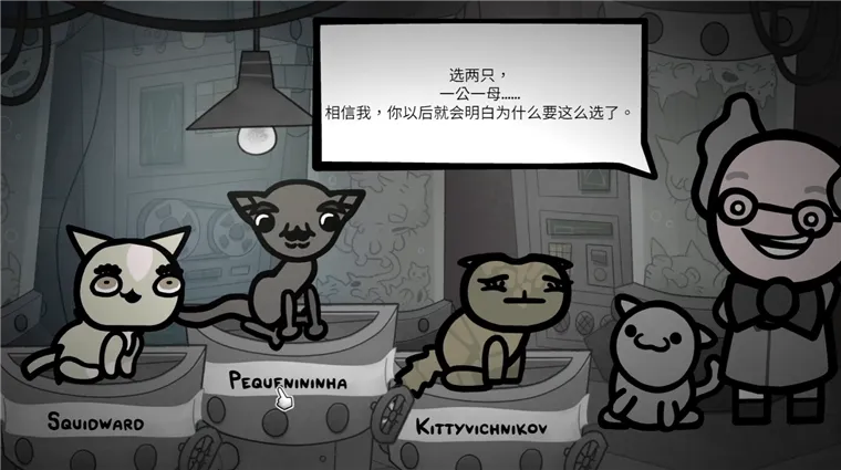 怎么玩配图4
