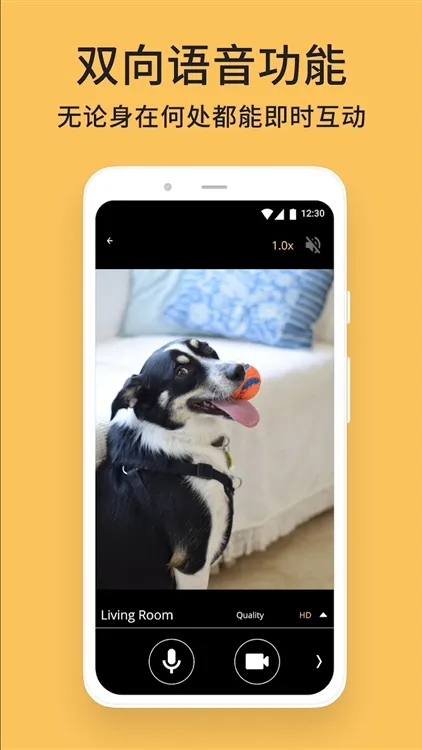 AlfredCamera监控软件 AlfredCamera监控软件