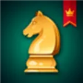 国际象棋国王的冒险游戏下载