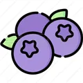 蓝莓音乐最新版下载安装