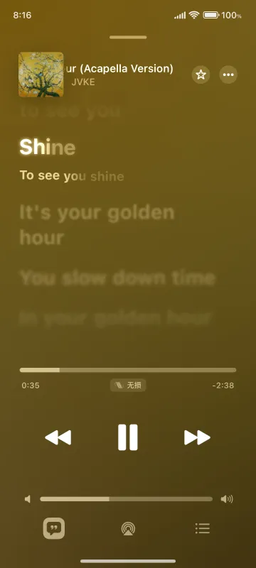 flamingo播放器下载