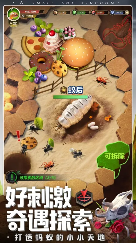 小小蚁国超快发育版