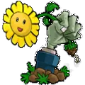 植物大战僵尸大哥版最新版本下载2026