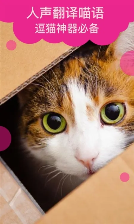 猫语翻译APP宣传图