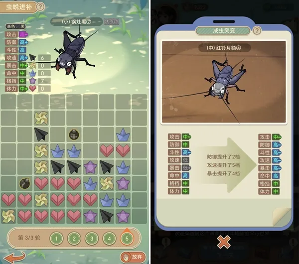 沉默的蟋蟀