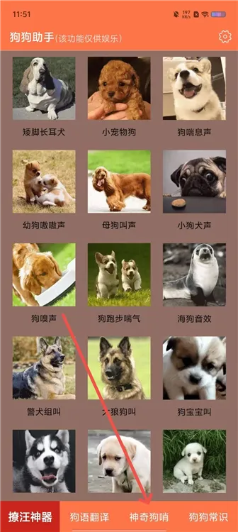狗狗助手怎么用配图1