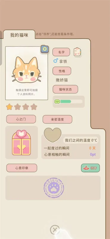 窗外猫