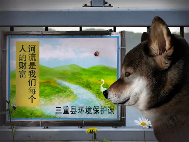 翌日波奇狗的历险记手游