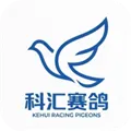 科汇赛鸽app官方下载