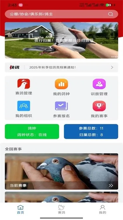 科汇赛鸽APP宣传图
