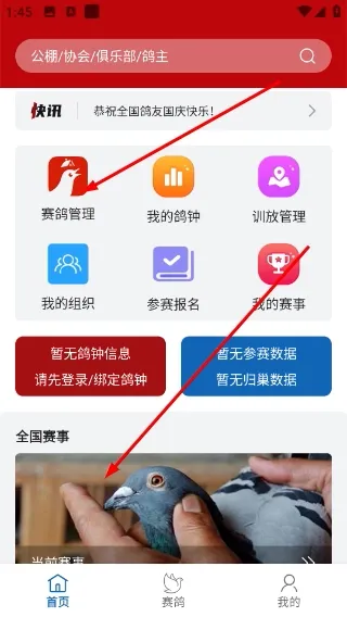 科汇赛鸽怎么添加赛鸽配图1