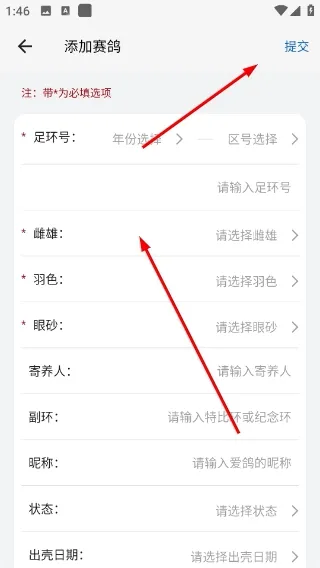 怎么添加赛鸽配图3