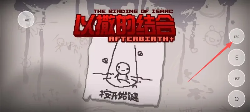 以撒的结合胎衣手机版
