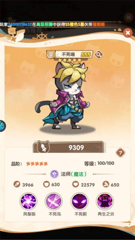 喵星族
