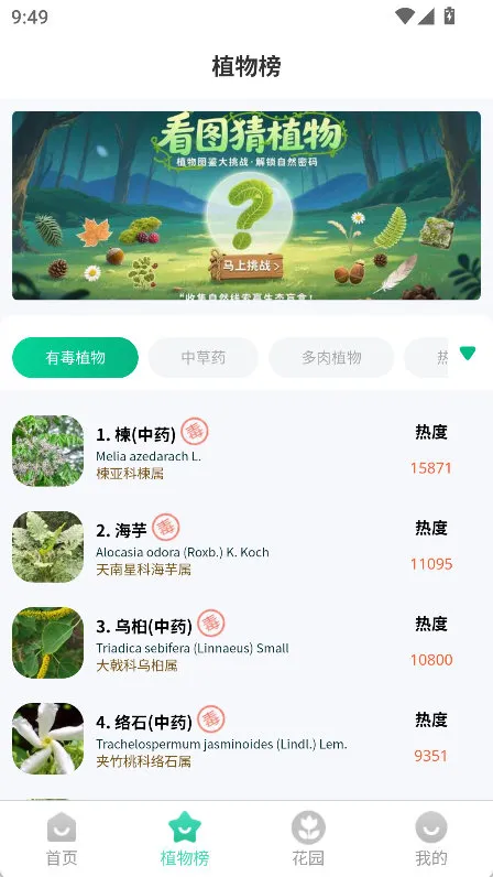 本草植物识别app宣传图