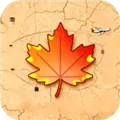 枫叶旅行app下载安装