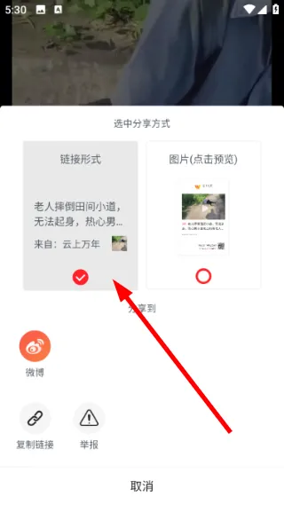 怎么分享视频链接配图2
