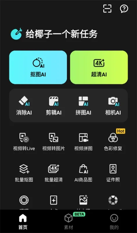 椰子设计