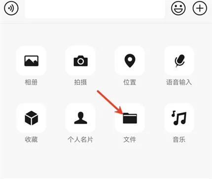 椰子设计