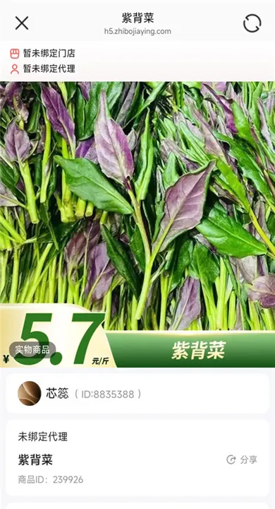 小蛋优选app宣传图