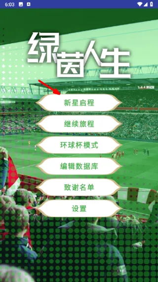 绿茵人生游戏宣传图