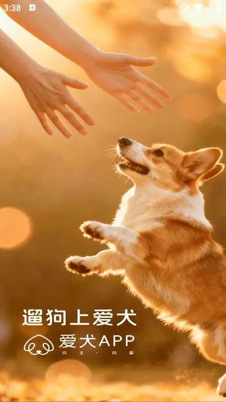 爱犬APP宣传图