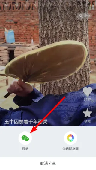 怎么设置倍速播放配图2