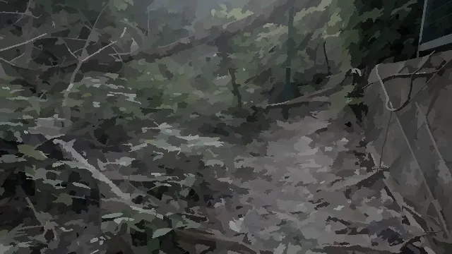 怎么玩配图2