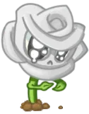 植物大战僵尸远征版