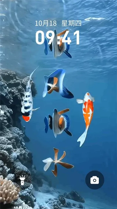 锦鲤金鱼壁纸app宣传图
