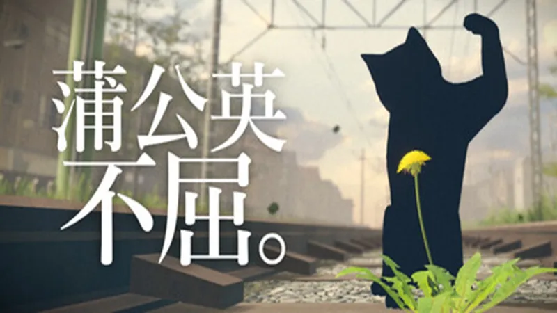 蒲公英不屈
