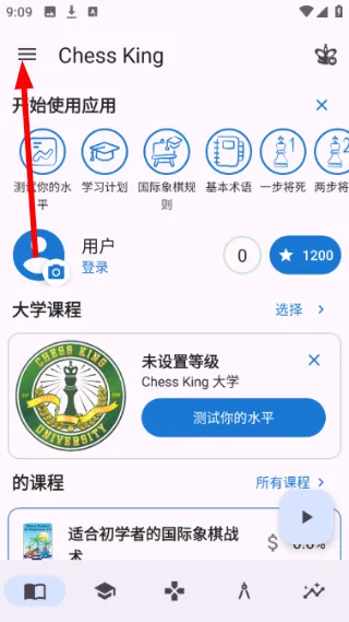Chess King怎么设置文本大小配图1