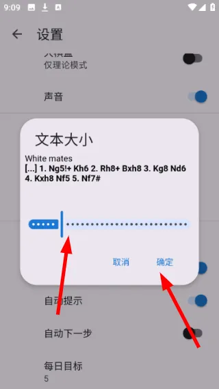 怎么设置文本大小配图4